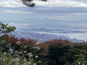 摩耶山から見た神戸市街と大阪湾の景色