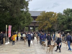 奈良東大寺前の賑わい